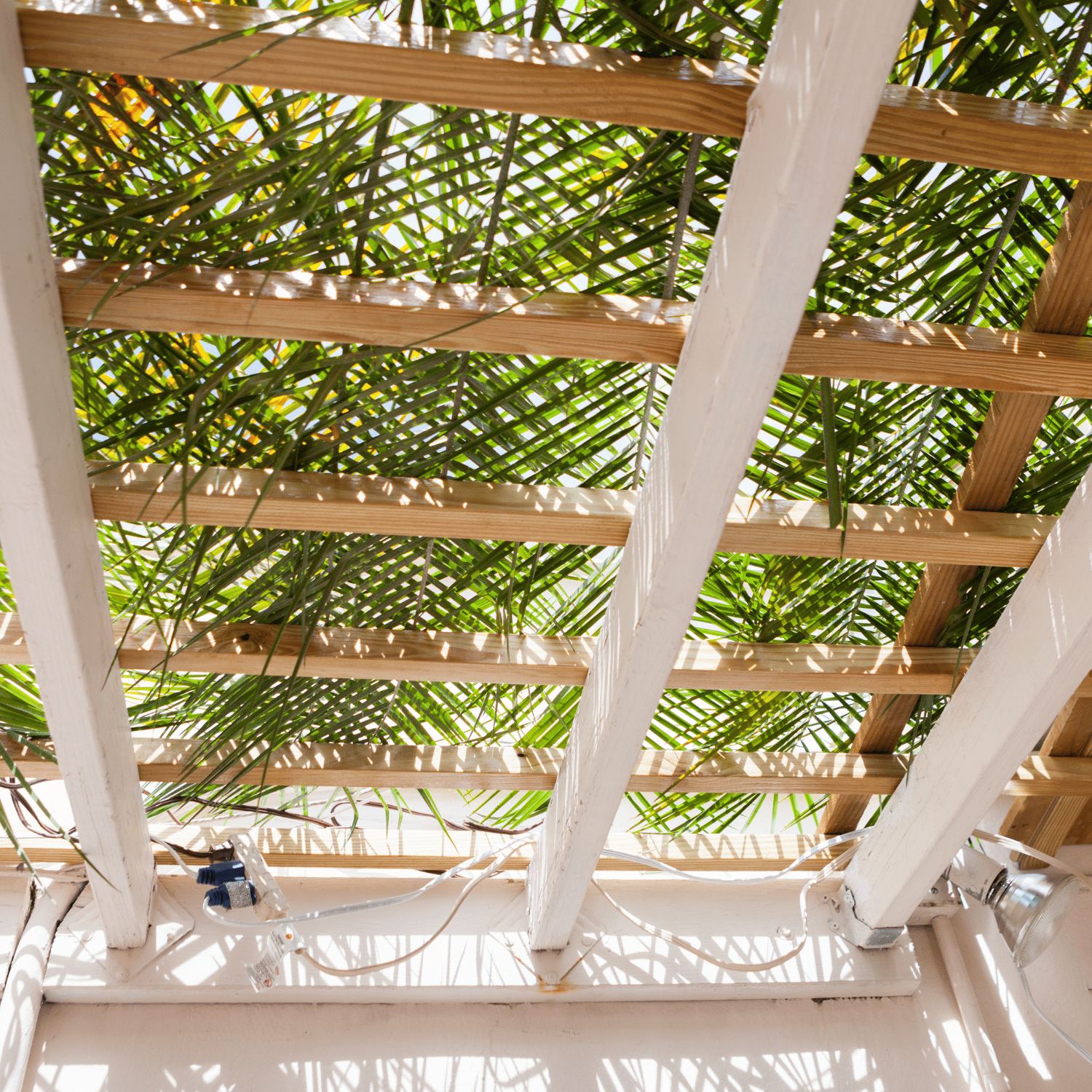 What is Sukkot